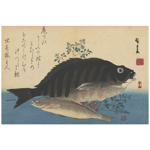       (Two fish, from the 