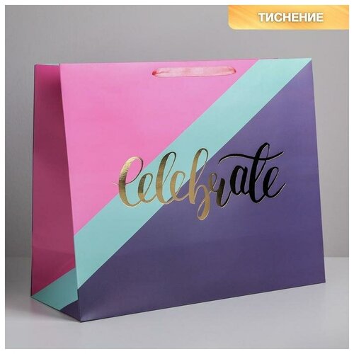 ����� �������������� Celebrate, XL 49 x 40 x 19 �� 470�