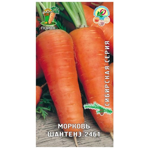 Морковь Шантенэ 2461 2г Ср (Поиск) б/п 24р