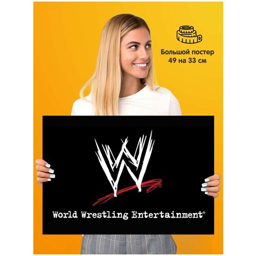   World Wrestling Entertainment WWE 339