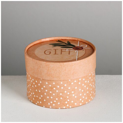 ������� ���������� �Gift�, 13 � 9 �� 344�