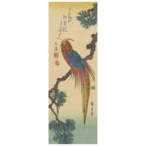      (Kinkaicho (Golden Pheasant))   30. x 87. 2250