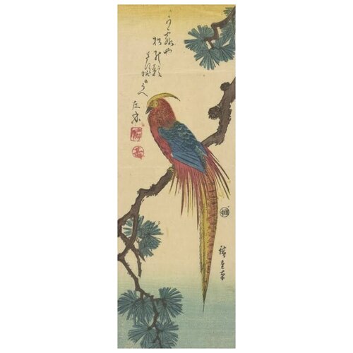 ����������� �� ������ ������� ����� (Kinkaicho (Golden Pheasant)) ������� �������� 30��. x 87��. 2250�