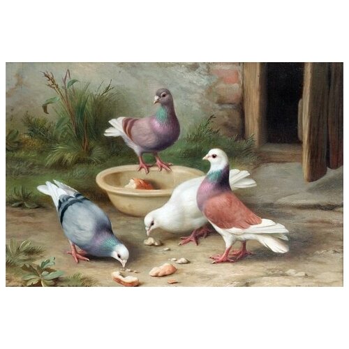    (Pigeons) 1 45. x 30. 1340