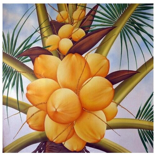     (Fruit) 1 30. x 30. 1000