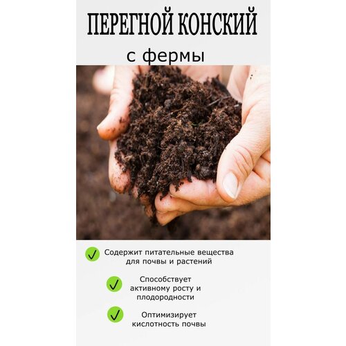 �������� �������� ������ 16 ������ / ������������� ������������ ��������� ��� �������� 590�