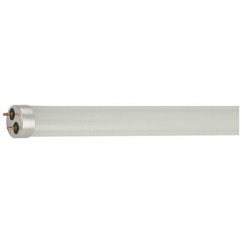 Gauss  Elementary T8 24W 2000lm 4000K G13 1200mm  LED 2  (. 93024) 1171