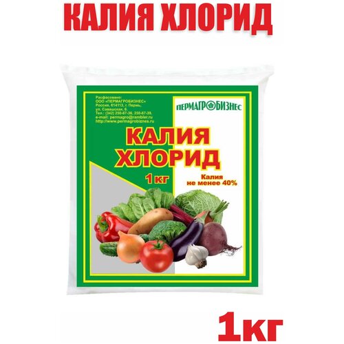 ����� ������ 1�� ������� ��������� 270�