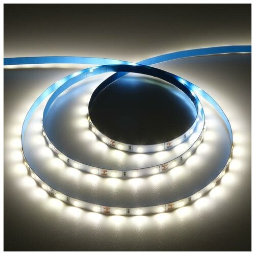   Ecola PRO 5 , IP20, SMD5060, 60 LED/, 11 /, 12 , 4200 578