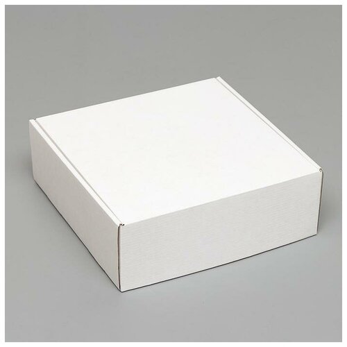 ������� �����������, �����, 27 � 27 � 9,5 �� 166�