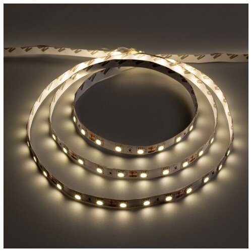   Ecola LED strip STD, 10 , 12 , 4200 , 14.4 , 60 Led/, IP20, 5  Ecola 515