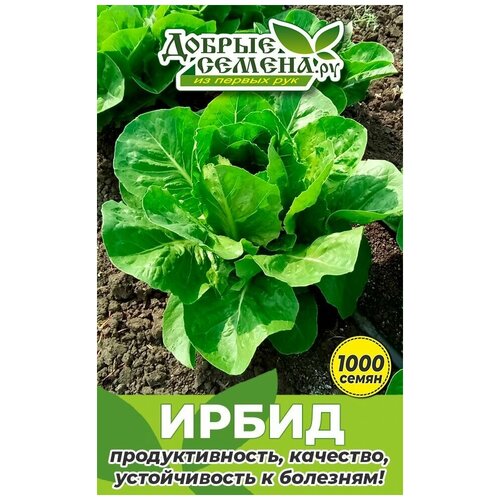Семена салата Ирбид - 1000 шт - Добрые Семена.ру 420р