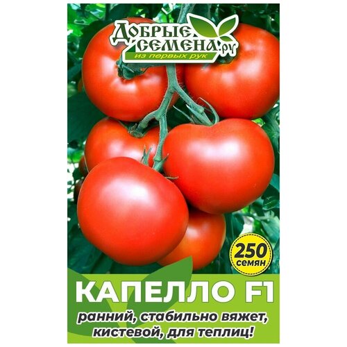 Семена томата Капелло F1 - 250 шт - Добрые Семена.ру 1788р