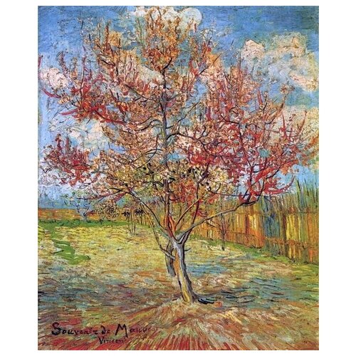       (Pink Peach Tree in Blossom )    30. x 37. 1190
