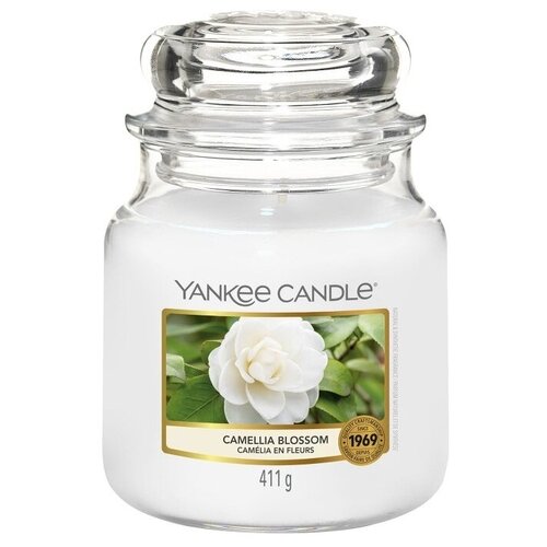         Camellia Blossom 411  / 65-90 ,  3200  Yankee Candle