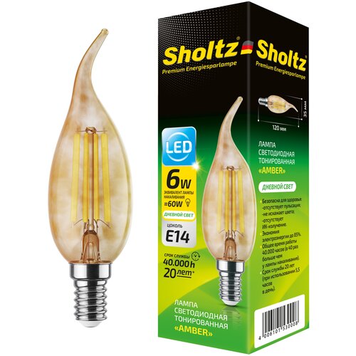    Sholtz 6 220    CA E14 4000   () FOC5300 470