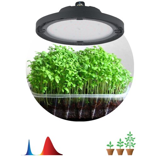 ������������� ��� �������� ��� FITO-50W-RB-LED-UFO �0053280 7121�