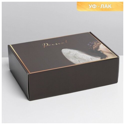 ������� �������� Present, ��-���, 30,7 ? 22 ? 9,5 �� 273�