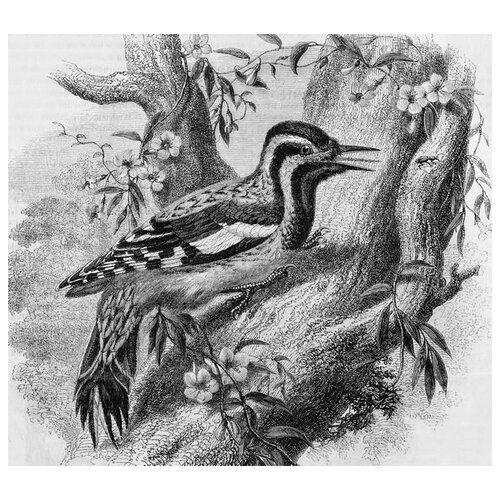        (Bird on a tree) 56. x 50.,  2150   