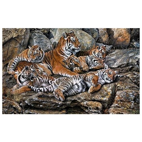 ������ �� ������ ����� (Tigers) �1 48��. x 30��. 1410�
