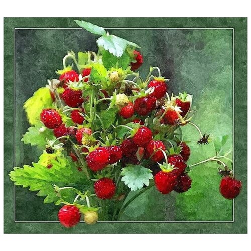     (Wild strawberry) 34. x 30. 1110