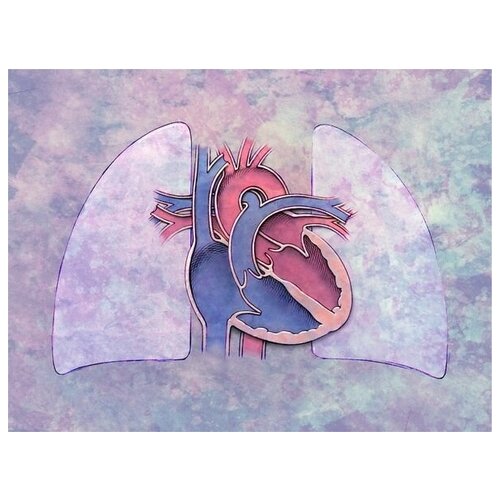     (Heart) 5 53. x 40. 1800