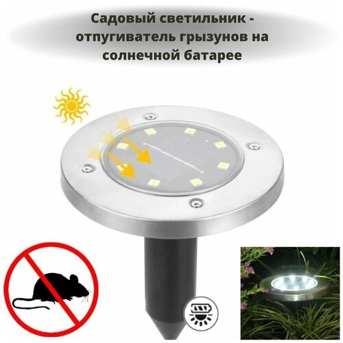   -      ANYSMART, 8 LED 1027