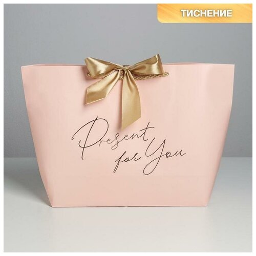 ����� ���������� Present for you, 42 � 27,5 � 12 �� 413�