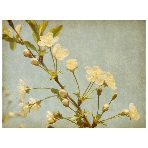      (White flowers) 9 53. x 40. 1800