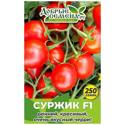 Семена томата Суржик F1 - 250 шт - Добрые Семена.ру 978р