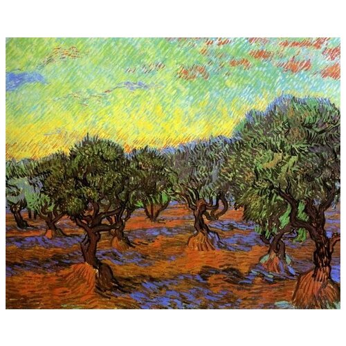         (Olive Grove Orange Sky)    37. x 30. 1190