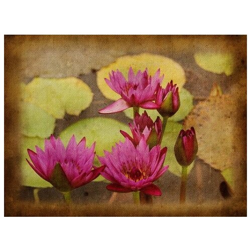     (Lilies) 7 53. x 40. 1800