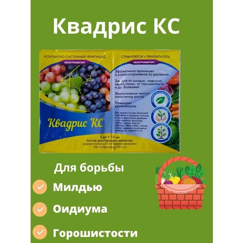 ������� �� 5��+10�� 200�