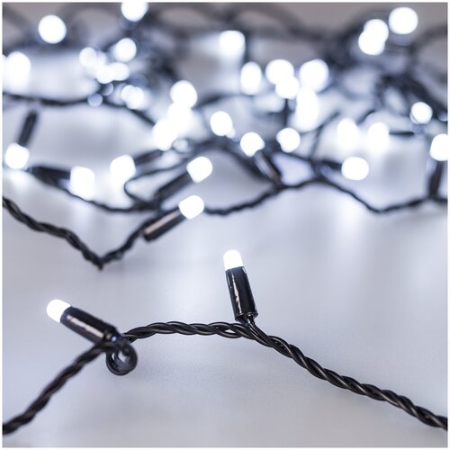   Arlight ARD-String-Classic-10000-Black-100LED-Milk-Std White 031206 3164