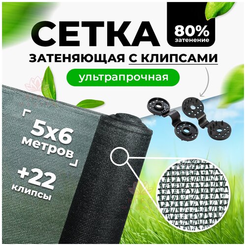 ����� ���������� 80% 5�6� ( ���������� ) / ����� �� ���� / ����� ������� �������� ��� ������ ������ / ����� �� ������ 2689�