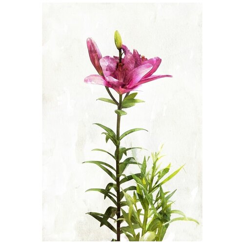      (Pink flower) 2 30. x 45. 1340
