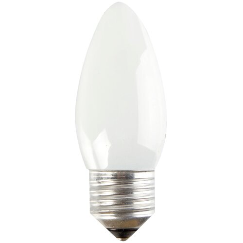   Osram Classic B FR 60 230V 27 (  d=35 l=100) 4008321411396 40