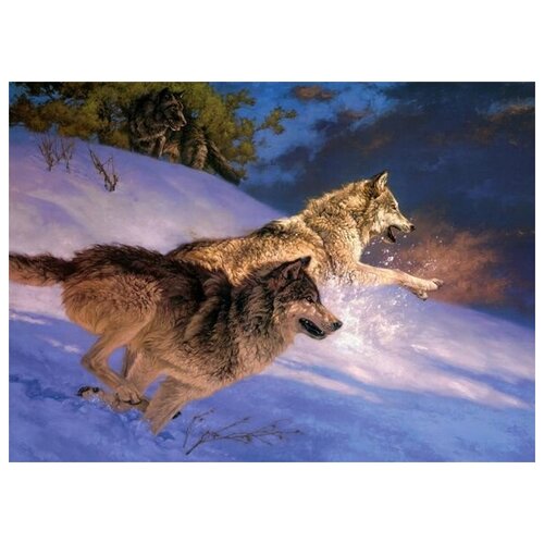     (Wolves) 2 55. x 40. 1830