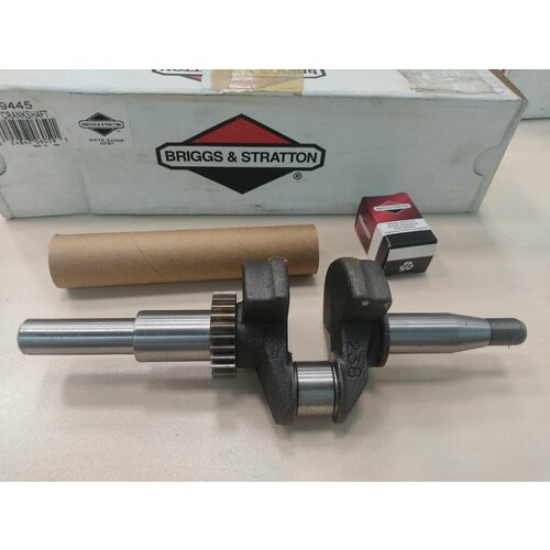   ( 699454) BRIGGS&STRATTON 14200