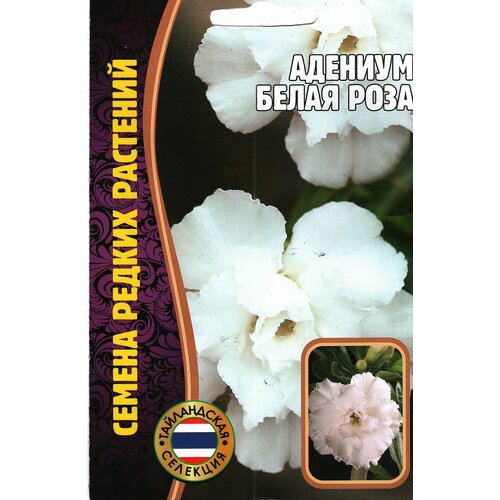 Адениум белая роза, комнатный многолетник ( 1 уп: 3 семени ) 349р