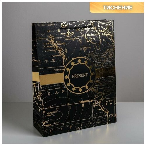 ����� �������������� ������������ Gold present, L 31 ? 40 ? 11,5 �� 375�