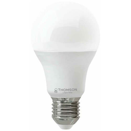  LED Thomson E27, , 21, 6500,  , TH-B2350,  . 928