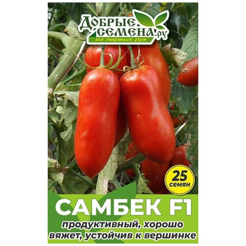 Семена томата Самбек F1 - 25 шт - Добрые Семена.ру 423р