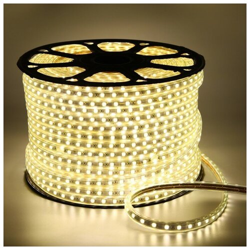   Ecola 14 ? 7 , 100 , IP68, SMD5050, 60 LED/, 14.4 /, 220 , 4200 19947