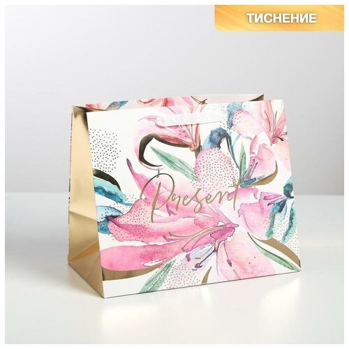 ����� �������������� Present, 30,5x25,5x18 �� 488�