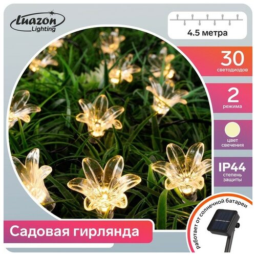   4.5    , IP44,  , 30 LED,   , 2 ,   617