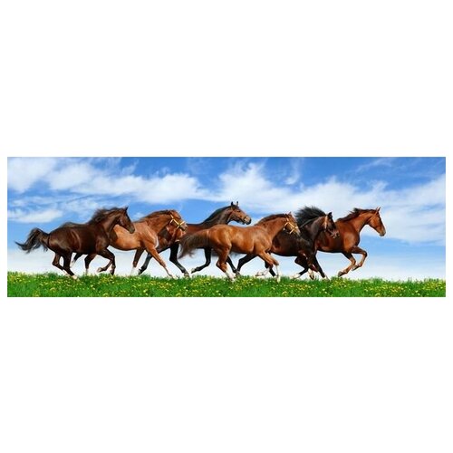 ������ �� ������ ������ (Horses) �29 188��. x 60��. 6520�