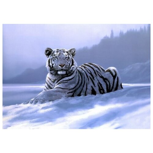     (Tiger) 5 42. x 30. 1270