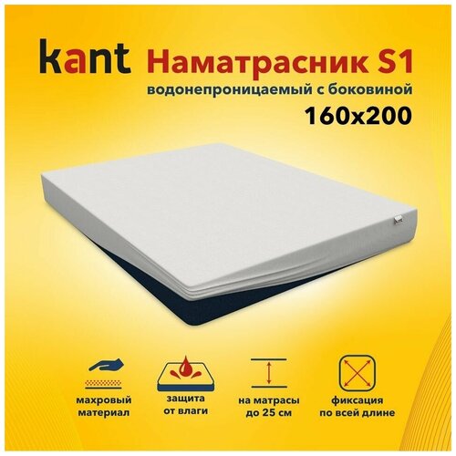  Kant    S1,16020025 2270