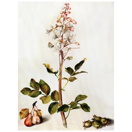      (White flowers) 1   40. x 54. 1810